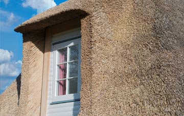 Cat Bank thatch roof disadvantages