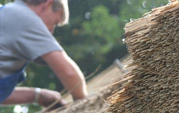 professional Cat Bank thatchers