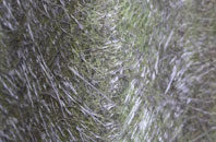 Cat Bank fibreglass roof work